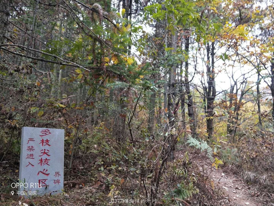 W5K5ZjPcyv7AtbGIBNPy4_VrPG5NorWB6aO7z6r2Hkk0AVm4fHJ80hGXBg1i2NmR