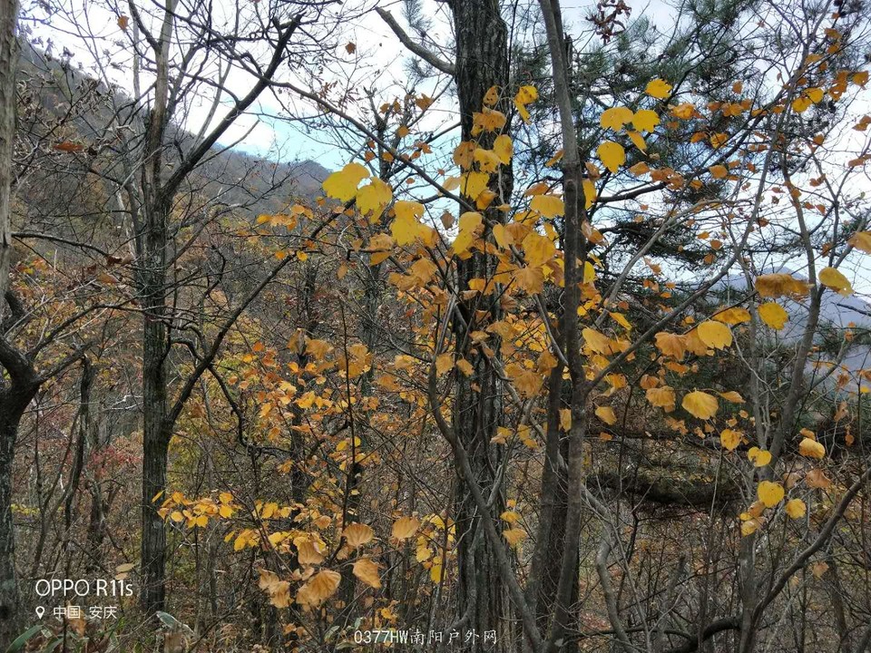 1iznnrUbjs2DaN64-aj1uenvfAODO8_SAuqlMJrvLYzMQSNGjgcV_ljgVj5Q32s3