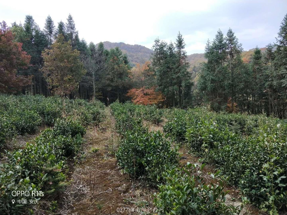 XqvU-sQEy441RAI_lHKVbxoETHF3sbwdTuqhNyCDM8xN-RWAQ0w5arLvxSmeAOuW