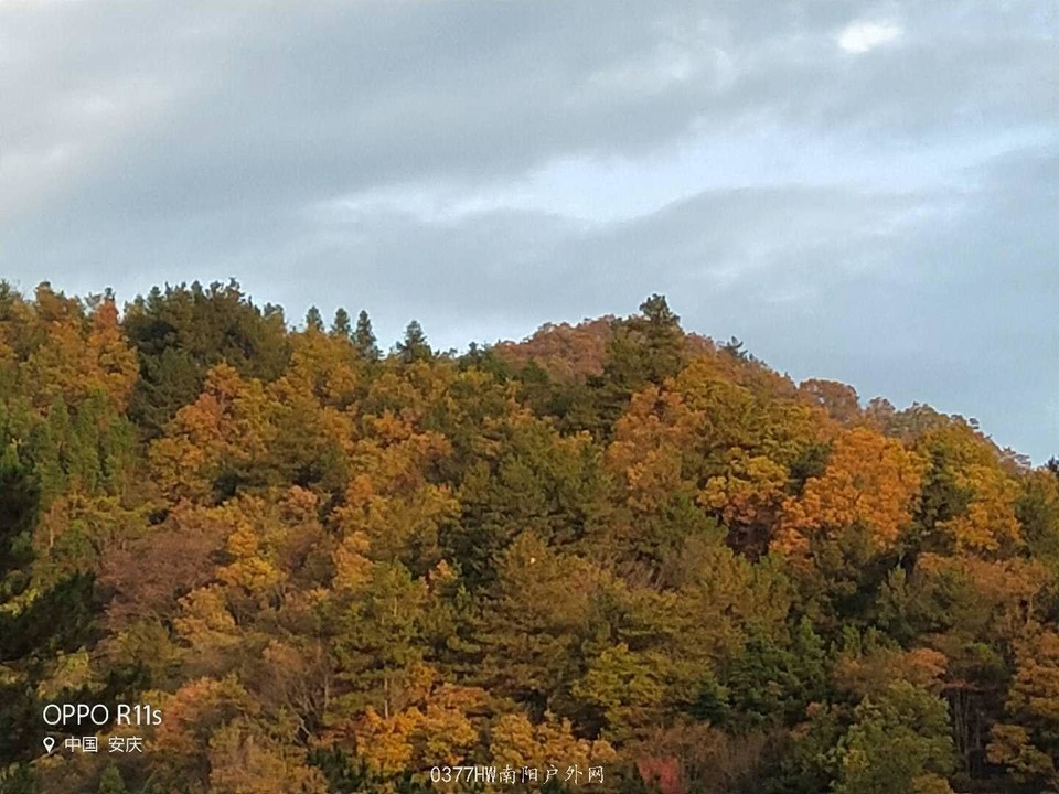 nEeXIyslLGRwb4d0kmU4wnc9vMfRb4m4J0m5eqOMCMd7mOxK14kE5fLXUbASr0JQ