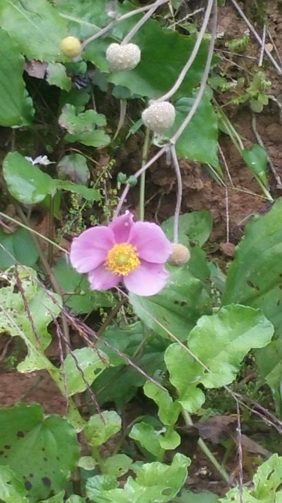 hWmMXKJ0LKRTv_pUNcUYyn8XqmVaoU1RDWwyzSaB3vIUaceaab5EZEzhelpmdm_N