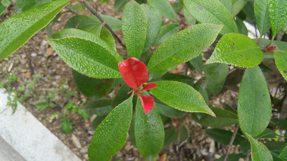 ee1I4qpR_x_qkXnsEAj69HrWsLZyS7HooP8pIgkegAIWuDQbzopY-dprhJl6OBPz