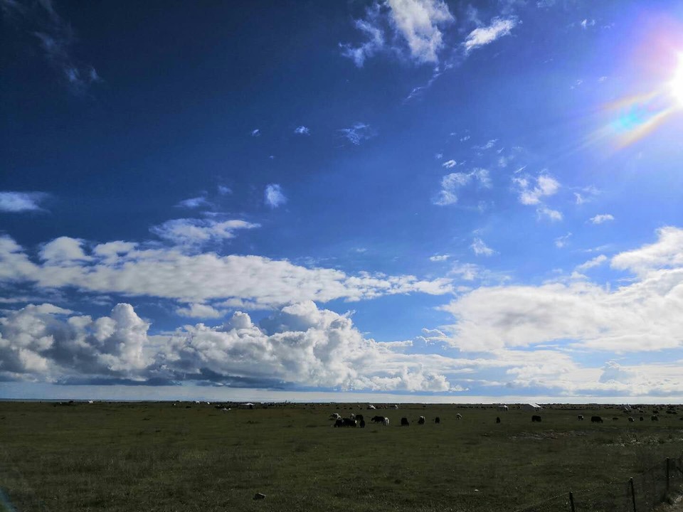 f1MxoWSBQDvwWDeGc1shWlEBNRCZWTWd_lNK7a6jX12xzvV795mheYwPTXEihr02