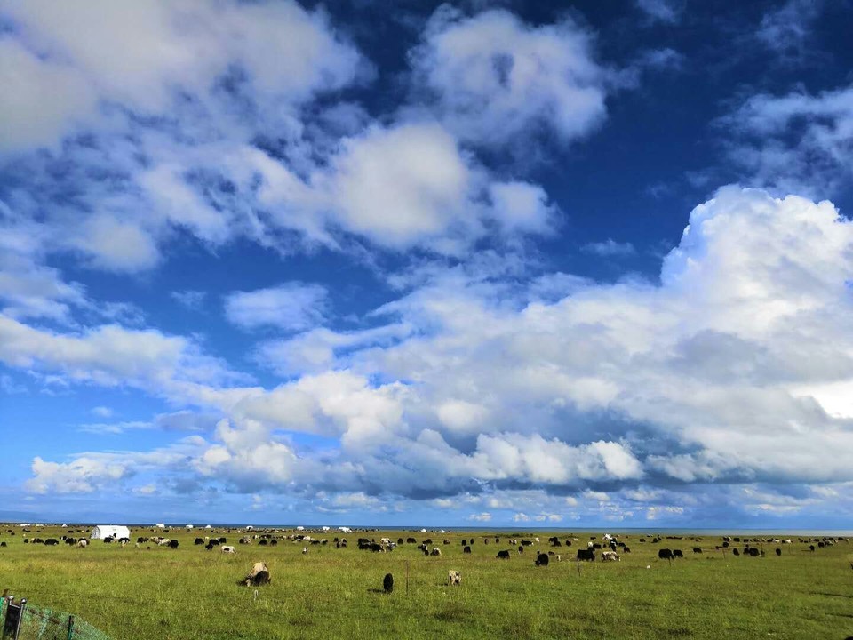 W9FqCHwSznAoGZhUPNKUJ3hcb4Dhf-pk6xM7X82g5uVmQHw2H1zCL1lCbr6gXlJv