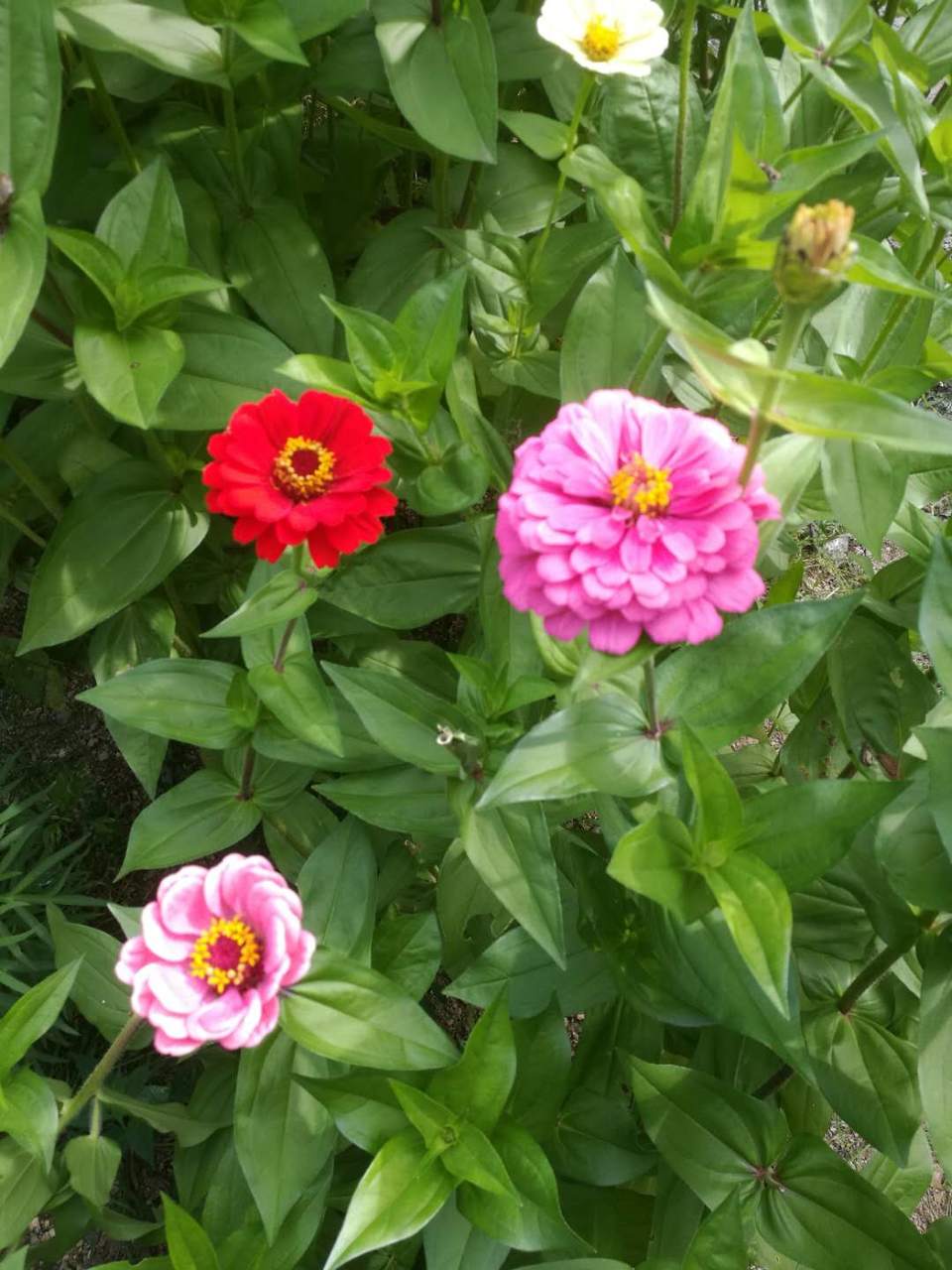 9j4o5elsuLw3jlMx4-KhrREavwPe4jQ2K3yhv5T0GKI49vfDGdpG7RoJc_FvLJEV