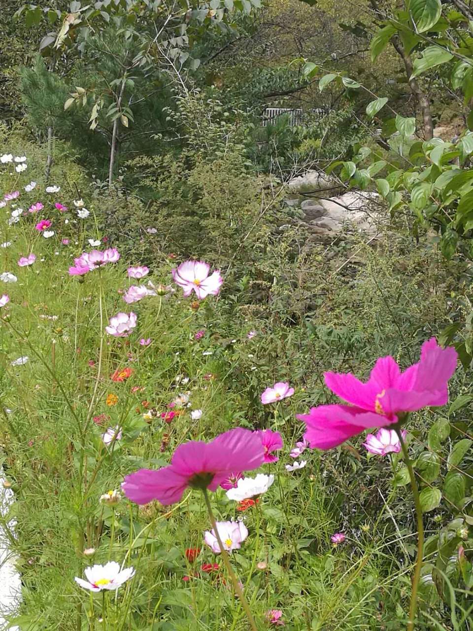 FCl7nJnScdoykgMazvI80DLSGyzD6YeGt2MLZfDs3_OmdRQO3yqPSQHDOxOU3gwM