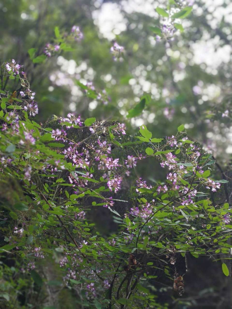 0UrEyYI_K5rKspP8tVN9iL8QAjWypZgD_byXgfwMXjehd9yPhrt0w3de0ON2X5MZ