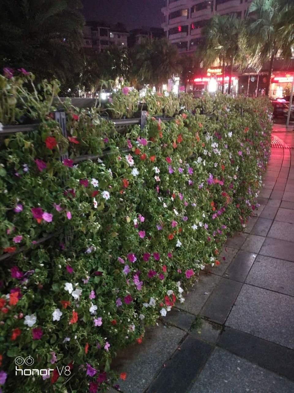 Nf7Mr-SfpGhv20lQXT0zB6rmCEMXcRHS0CPJcc9Ei4GJGLY7dCQSnDWxlA0Bw29V