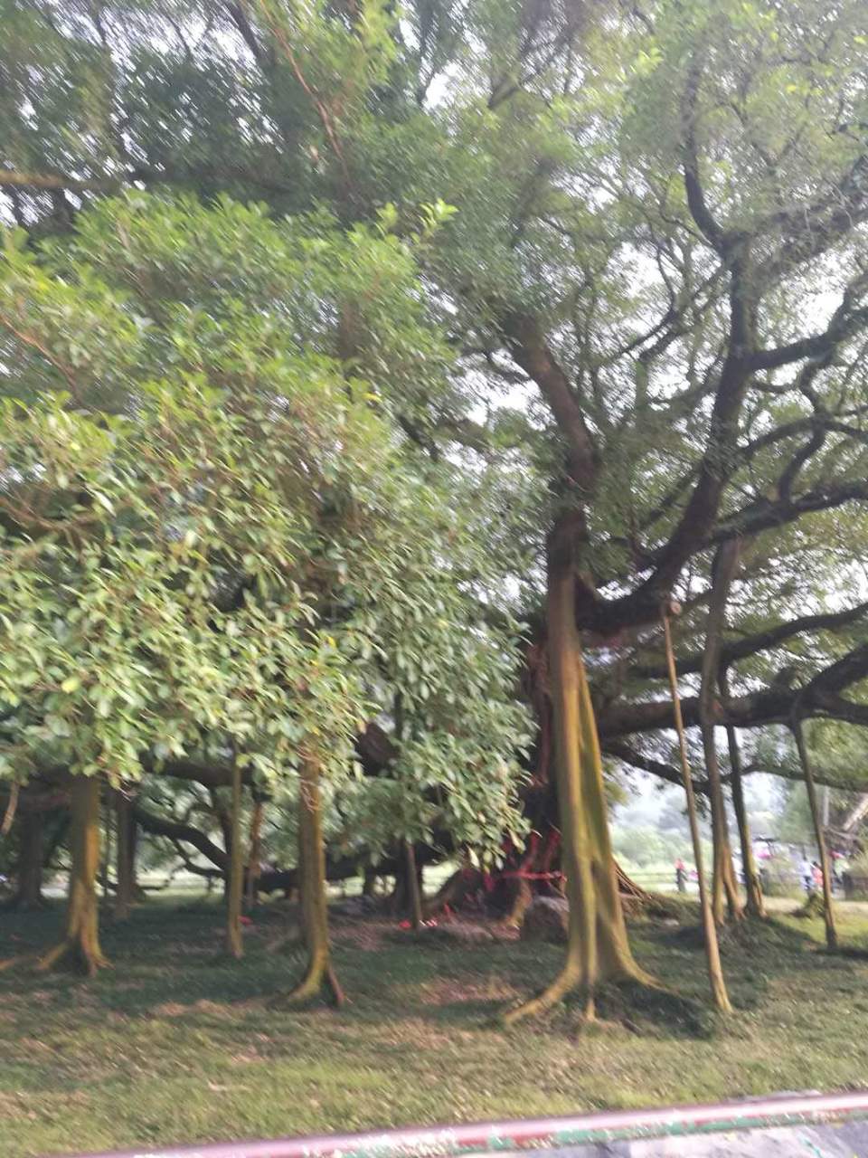 4A1geT9ec6SA7qG4pU57phYoegPwp4SRumIRGTruTYaDOjp5oOP1cH9kjf9Cy-5u