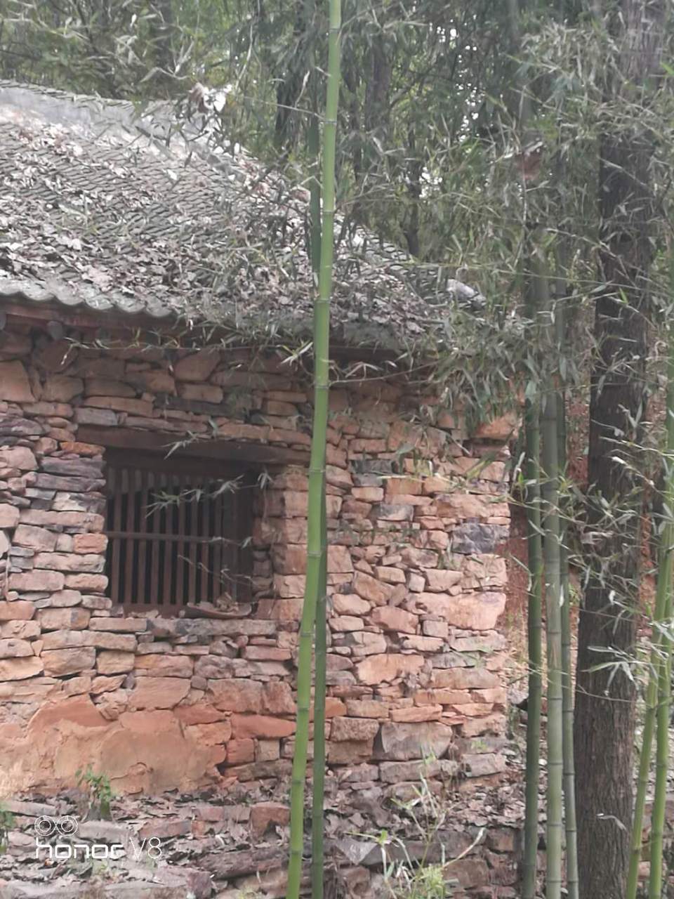 o4XrbXSigx4FO9iyqpJFm7PZJziaxsPkzDSaTyxwIOGVOEsu3BIAPBn5hdYb5n8o