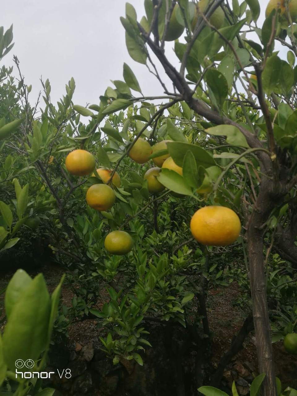 hTnxztxaIHrwr938z6rnASI7-Je-4YZiQfOHfmbTkWw2vOBR36OytUY83XF1pmMP