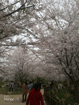 snC0q_mADeMyik_C3-1PlKpS2RQj4mLMGJ6wXndOLmQ1YXKfV5KOUT-6bkPPaFCz