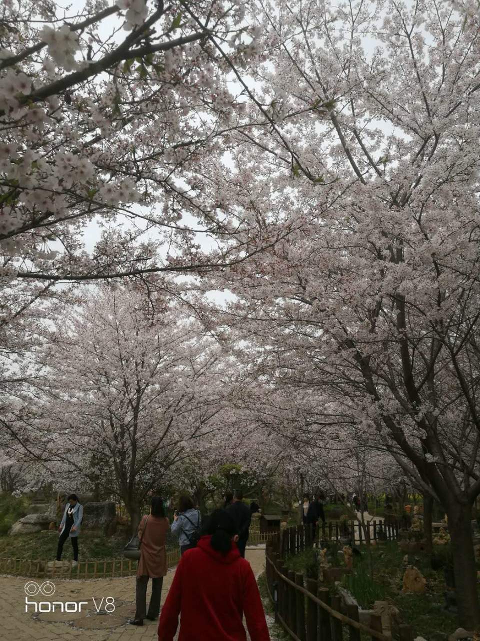 snC0q_mADeMyik_C3-1PlKpS2RQj4mLMGJ6wXndOLmQ1YXKfV5KOUT-6bkPPaFCz