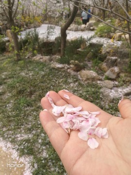 Bn7SmkxfSfZQ86PDMiKyaJ2K5YhXnM7nLEL_Nbi4c2KYlWmzVjsotPXn6WAkkviB