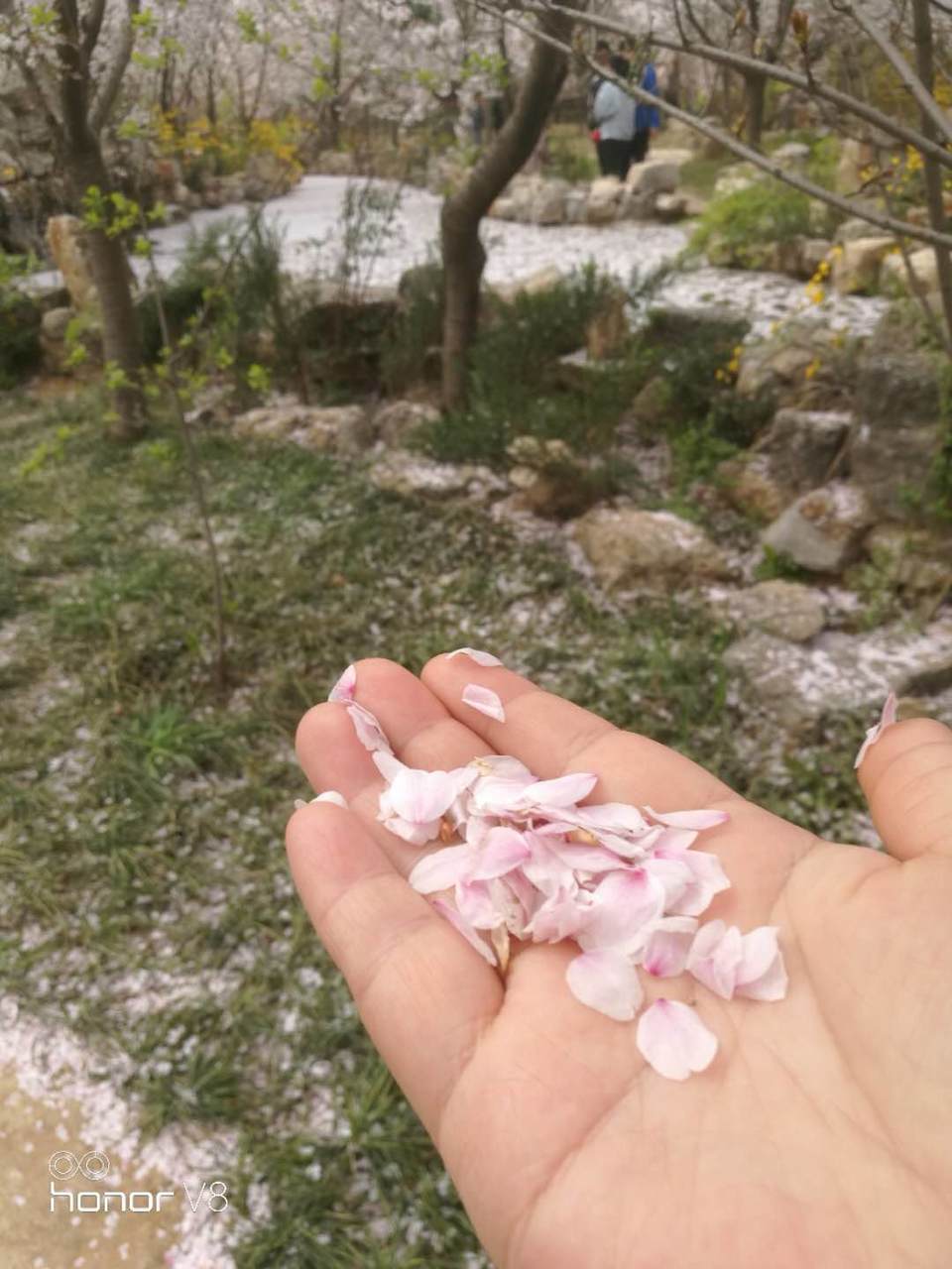 Bn7SmkxfSfZQ86PDMiKyaJ2K5YhXnM7nLEL_Nbi4c2KYlWmzVjsotPXn6WAkkviB