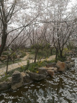 GHgZnc3dhUjXAfCq4FYzgikb6P0x4Pqhvupbzsu_Ws_yMjJCoj2GlBh2BNwSzbNZ