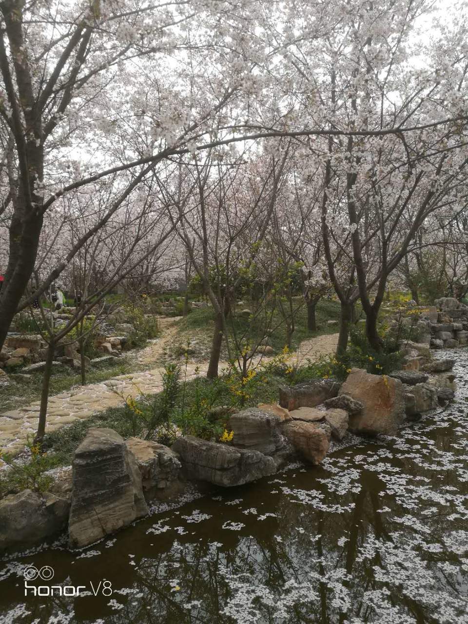 GHgZnc3dhUjXAfCq4FYzgikb6P0x4Pqhvupbzsu_Ws_yMjJCoj2GlBh2BNwSzbNZ