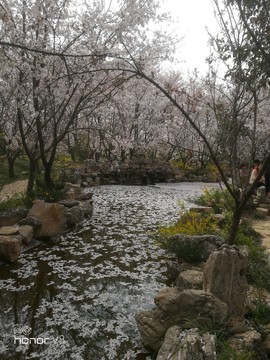 XK-3TAp9lWhJyghTorSi6sFRlcHFr51AWFQHWMppXHTqphodLFwFeq7n4GaTZT0M