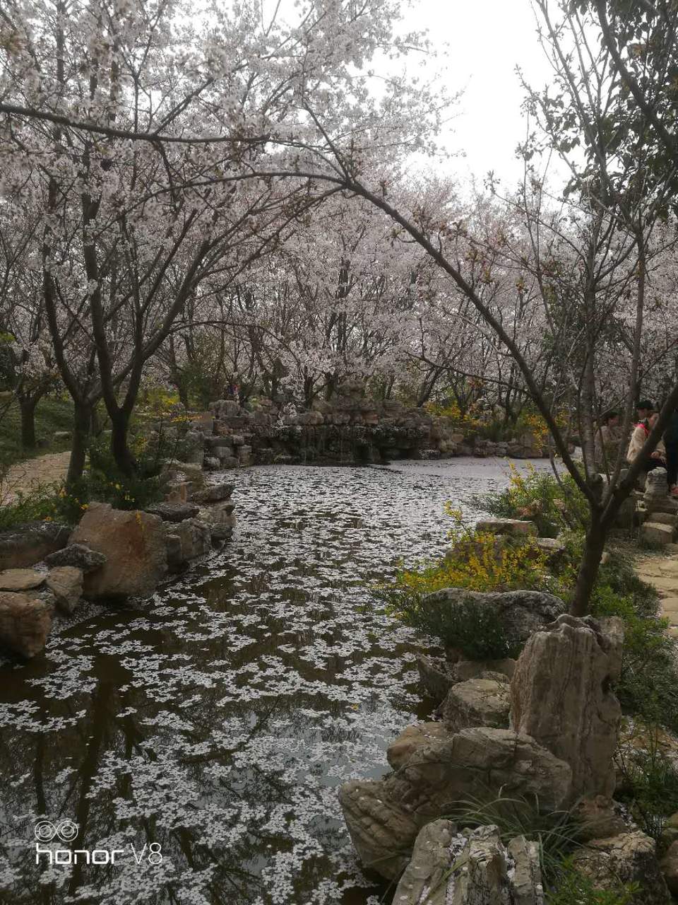 XK-3TAp9lWhJyghTorSi6sFRlcHFr51AWFQHWMppXHTqphodLFwFeq7n4GaTZT0M