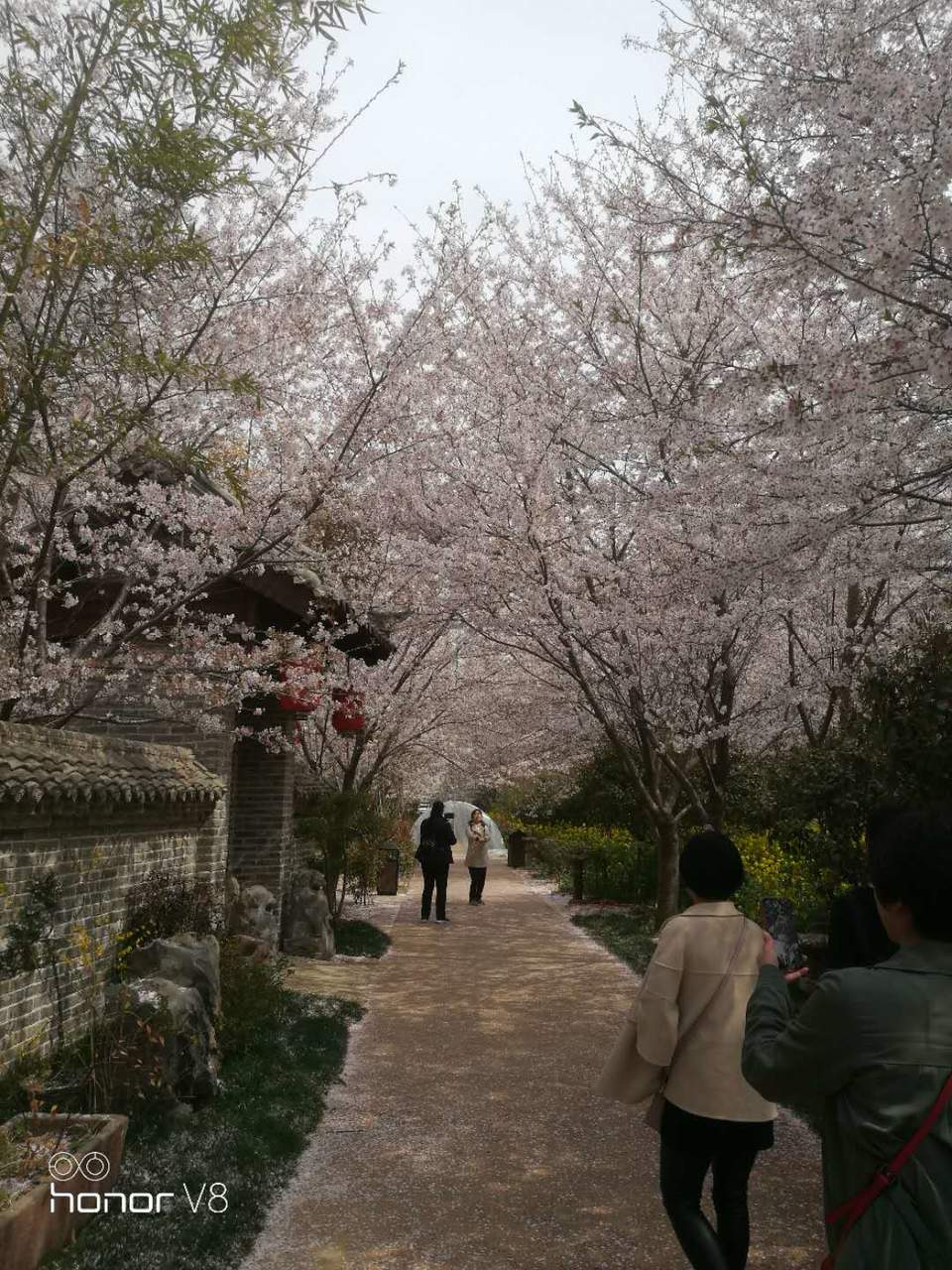 mI0u3hvdt6ZBfp5dPCcwFRrbGqIKIxq1QA5BUq-GMauyvROWYt_FSjt_kTVz-_uV