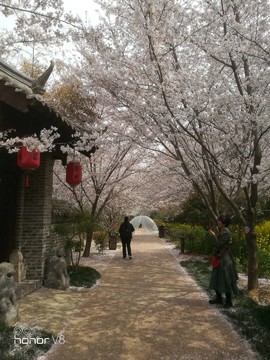 bqiwp_yFIKrT9r0GZvMdjBCK7DmBKwyPoSzTuyh-It_5TVRi_hBp8mV0HHzeCstP