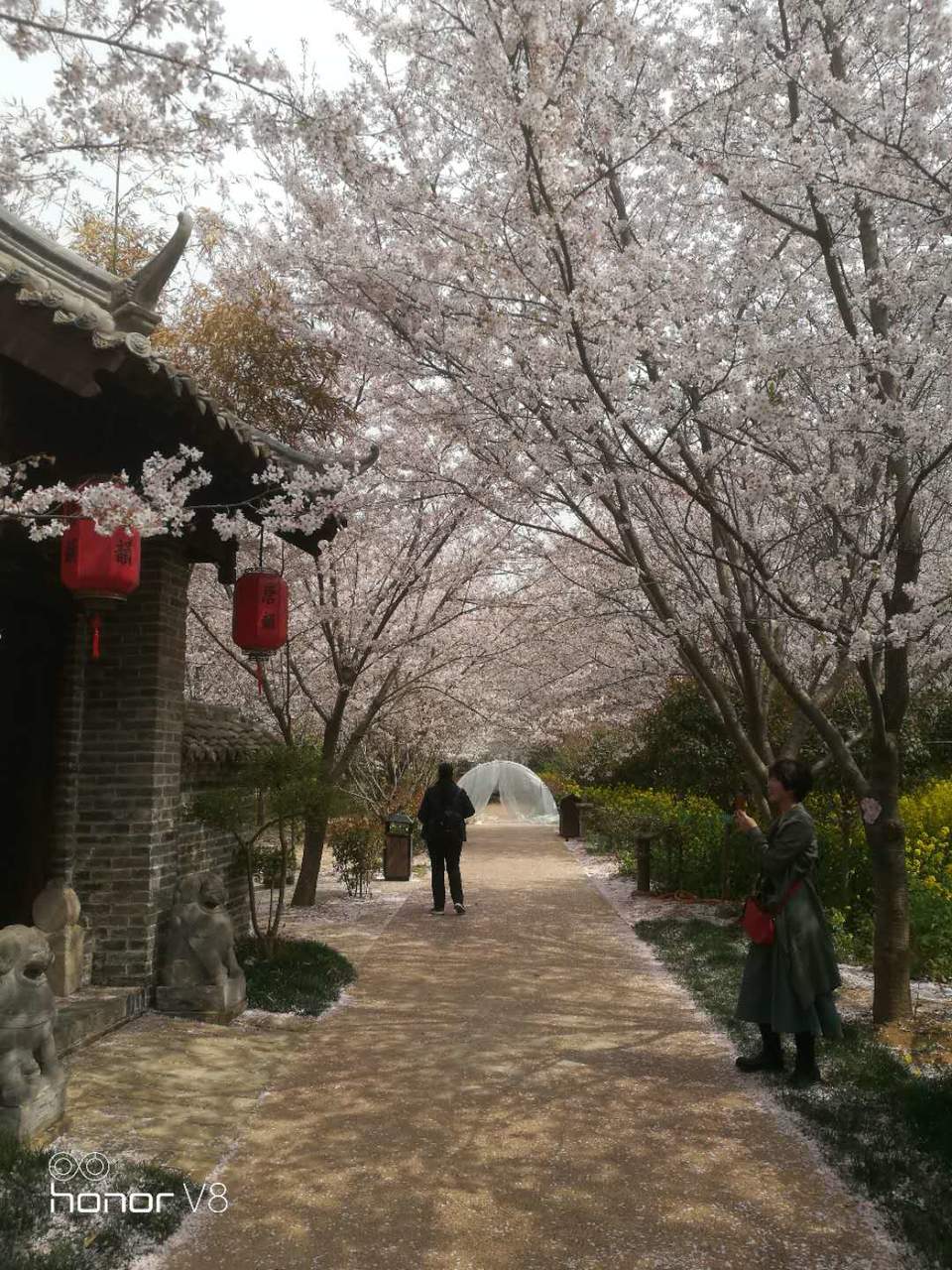 bqiwp_yFIKrT9r0GZvMdjBCK7DmBKwyPoSzTuyh-It_5TVRi_hBp8mV0HHzeCstP