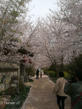 ppbimNTouSyix61h5f6jR1-5iOmCZMRSEGlit6eSux9OvAuahn5VbXbu4NDwS2Cf