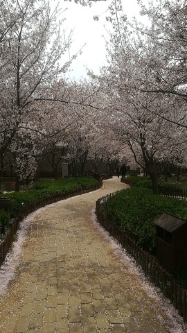 V062lWHRUvXwCNWkC-44Cv9ueX-LCTOxpUmgXKIFRNlUe5ehbcPagKFKUWIP2uJT