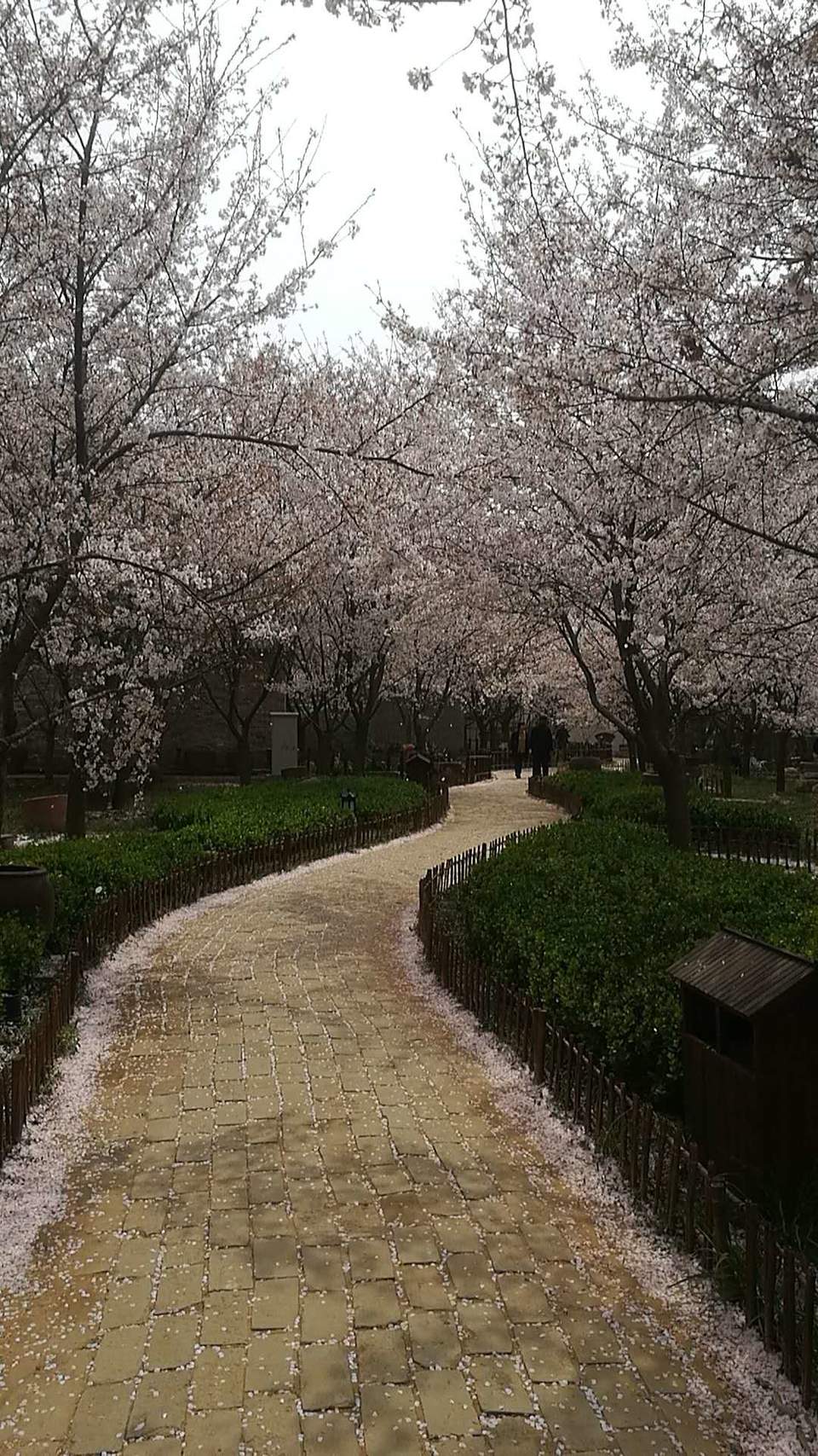 V062lWHRUvXwCNWkC-44Cv9ueX-LCTOxpUmgXKIFRNlUe5ehbcPagKFKUWIP2uJT