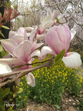 FafIbImLFxqW5P3lnhJxNw4ElWwFIgtZc43oKmjYrkTEL00HMKiPQIWdHDi7tFcX