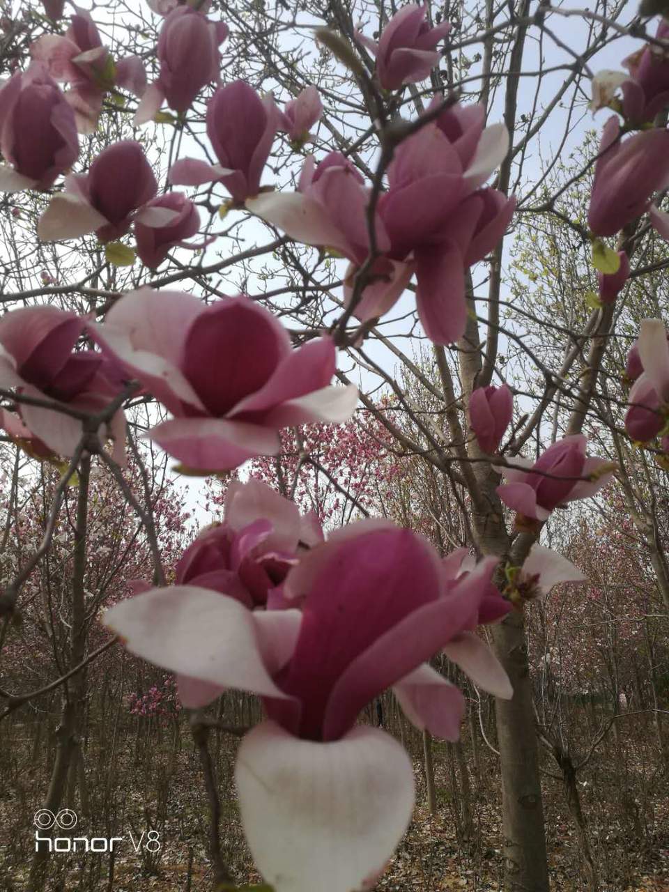 IAnP3yvCrJjIvqKyL61qKNKebhZRR6B4SIjxyHf3wx6ZWeHwP9iyCzp-TFLOyJp2