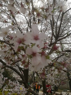 d-fa0vCfLCDjb_8US3IIY-Mukv3mJSHahqCSM5QMvrf3ooDVf4L9nAy7_0iSMKqJ