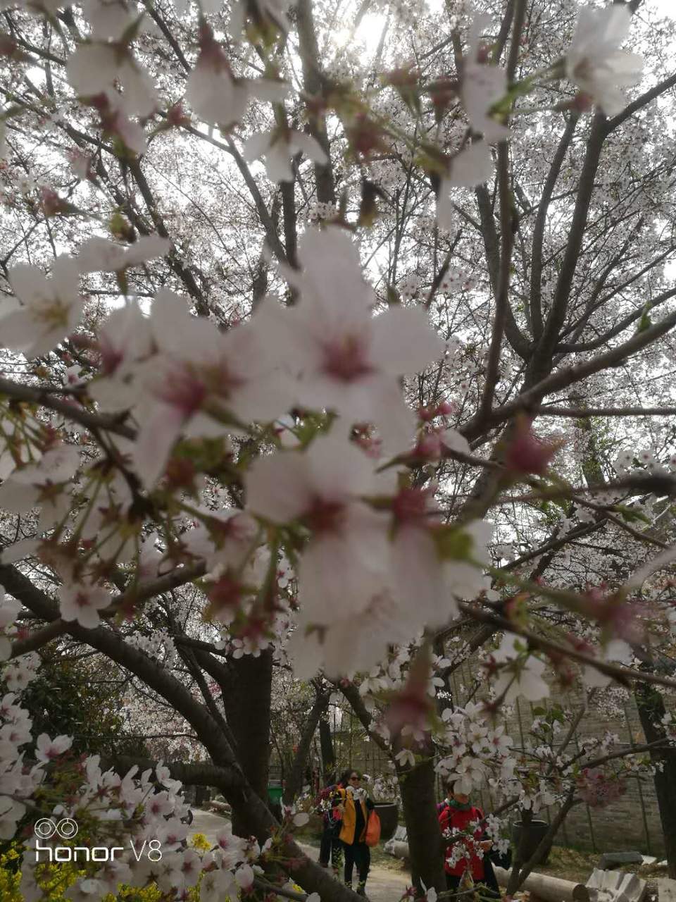 d-fa0vCfLCDjb_8US3IIY-Mukv3mJSHahqCSM5QMvrf3ooDVf4L9nAy7_0iSMKqJ