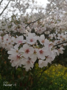 N_GUPF1E9H9sQ93rYFzXNsI0uYREJ1OmSrqV37Fm82w2C09rxDq3s-fHgdrfh1YN