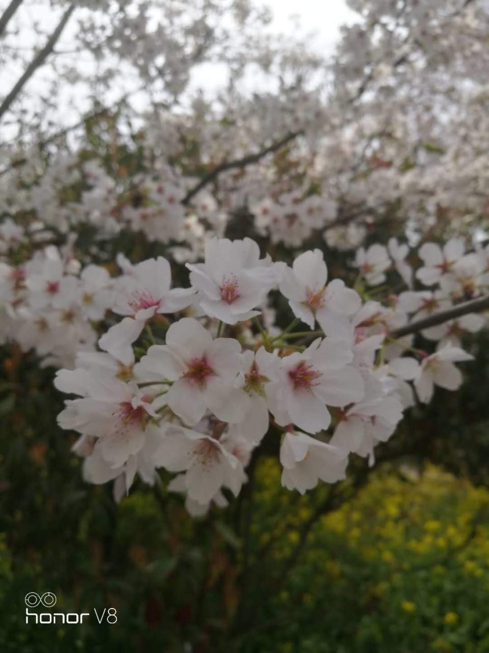 N_GUPF1E9H9sQ93rYFzXNsI0uYREJ1OmSrqV37Fm82w2C09rxDq3s-fHgdrfh1YN