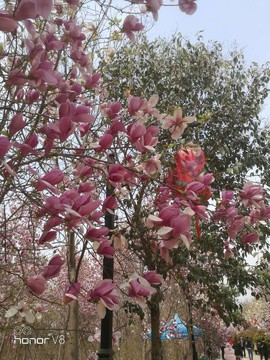 CwU3SKuuhk55G_xjA9tup85JKXrDg6gQsYaUHIO6aPSzmSgIUE-4cHNdvHv3AdZQ