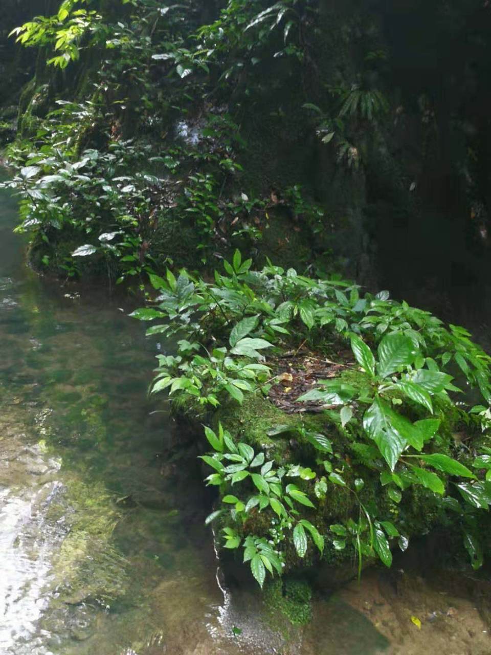 o-AxZBDlZgbMRfsuNheDkEqny99KaClxMLzGgRuZCfjZTUoIG1iIOMSJkb4P2yk1