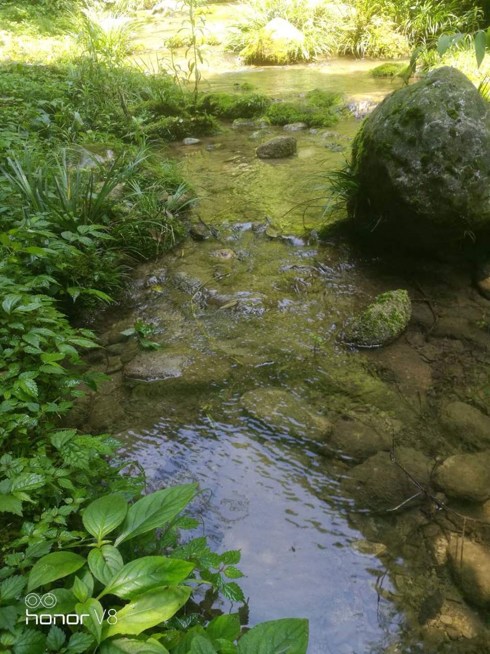 poluKSE4qhFoFh9AkzwSvs4j6v6khnDNPjzwxuEKe93RbBnSqRAeD60apRNVUr71