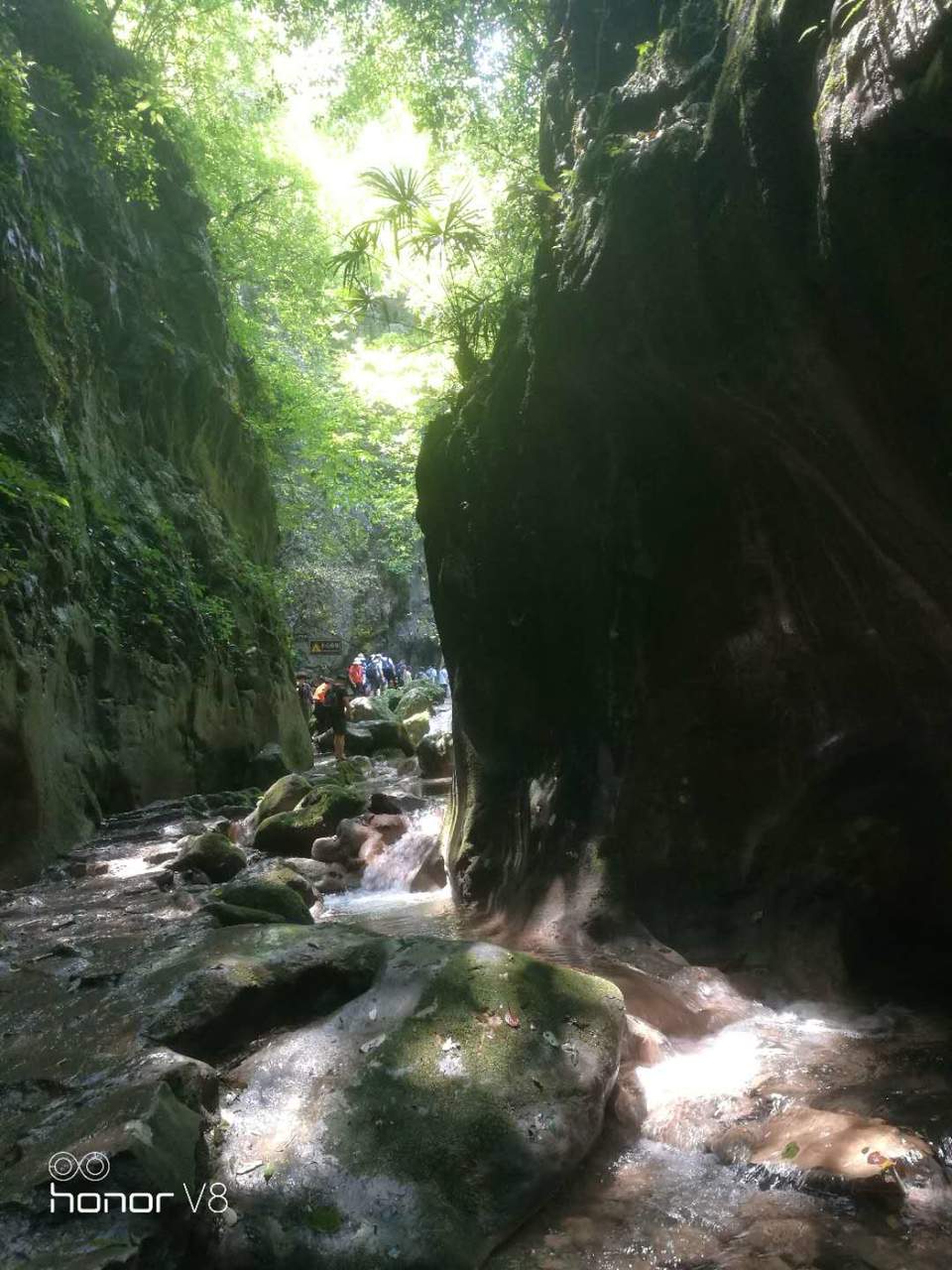 OIE34TzU79ev_I_qd3-uFd-JDY6T9EIAA84fftXpMkp9-yfMJNwEkY890BskwO8l