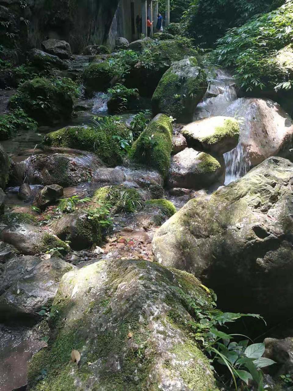 XliOYf9869f_7kurMboIMBqn_2Tq-w9n2LWZNwjqr5qDhZZRGMoxzDN3le-QGVQg