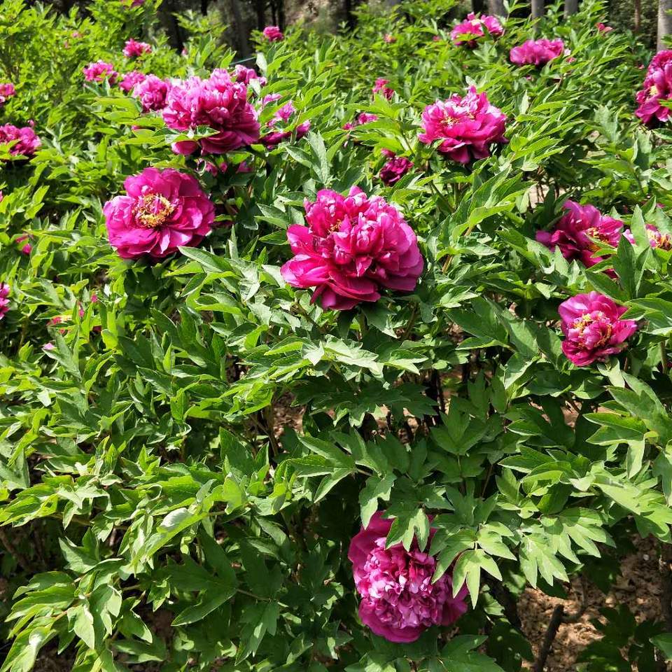 Cxy9EfIzix7G268Cu_a5F2GD-nbIMJ7M4GzoEU5p9_a9kZSDCVkzBQ1QZ4IZr3Dg