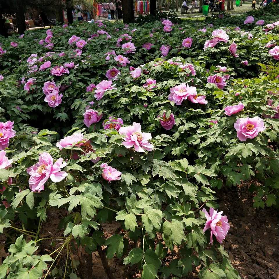 fKQYR0v0jKG5k_C4AG82OmfNGn0ZKpNixogdelrkC2h_eIPHicH9ax0MSpilnn1d