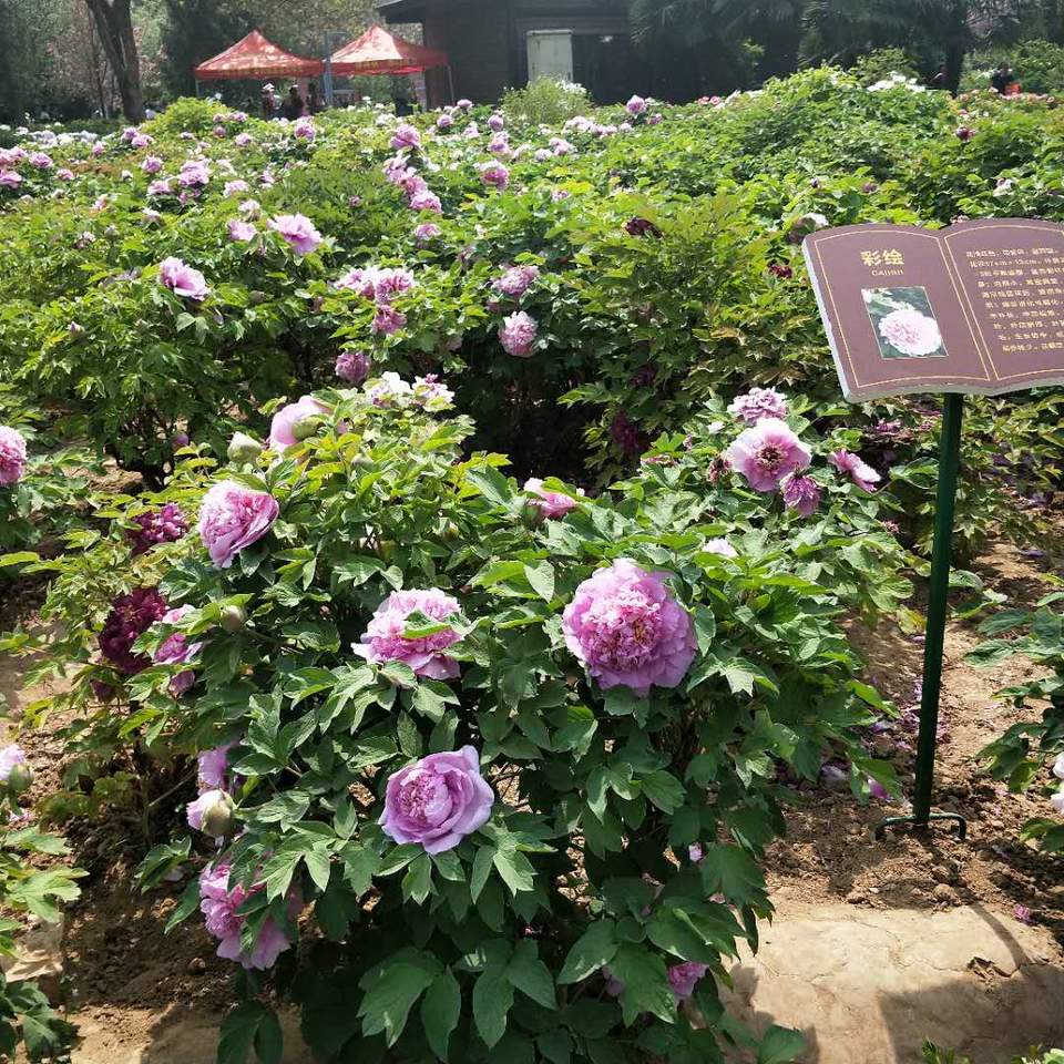 EOApffXhUXqD3wALWjjhyXgJdhlfHRm5XoMJXmuZCgNv-Nn53Gg0XsnJ4vbVQTPB