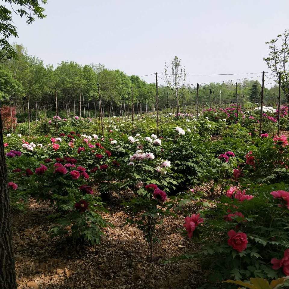 i2Aqw9a-j5se7fvPxDEBbXtqCFty1_iPFhOkLEdQc4IX-B9KDbso7MsBwqA4u9Ah