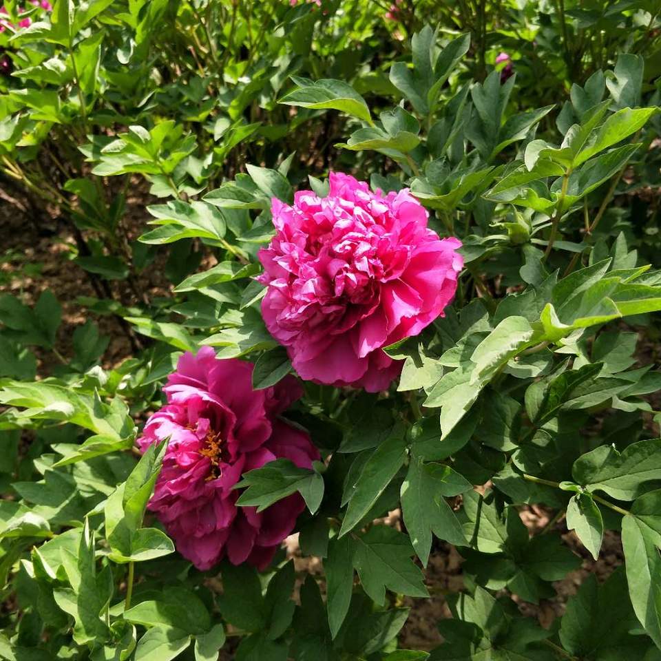 rKWfoYbv4Fwc0PPio0QDgm4Hb2Z69hrqnbWx52wxkSn-ePyIESHCiVjWo7LmSz1o