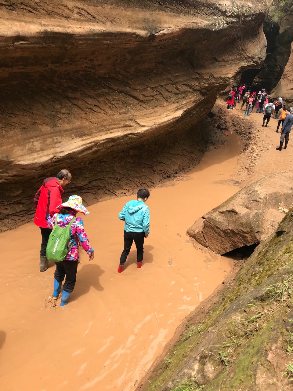 500CF3E0-8BB1-48A9-B96F-6F1DF3AA720B