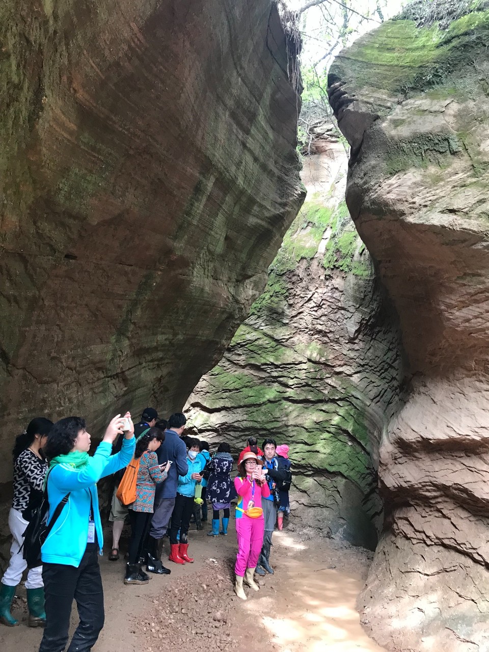 FBF8B5E9-6442-4947-883B-01C1D53FECCD