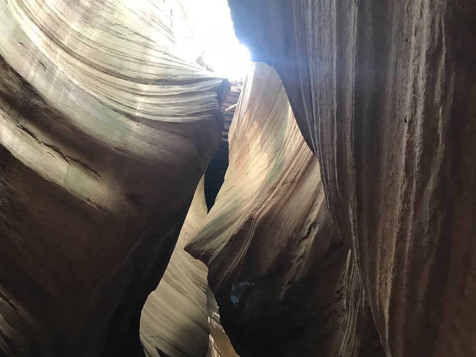 66D0AE56-7A83-40B9-9257-567370103961