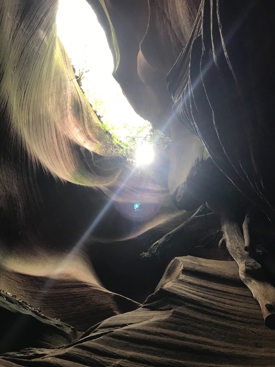 5D063B04-BB8F-4938-A555-10F474A647B3