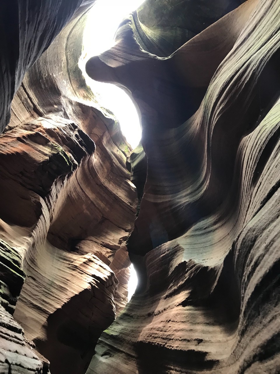 8B32BD81-6FFA-4805-B4E9-3283C7D75A1A